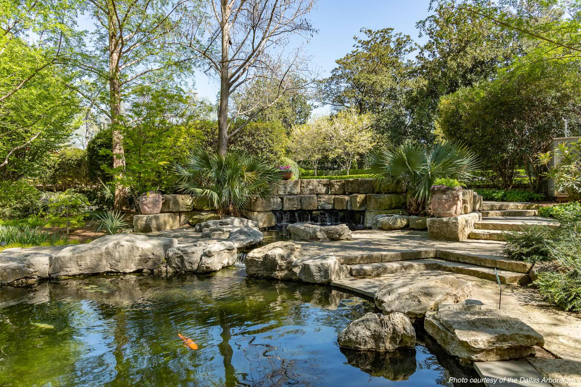 A serene garden with a small pond, waterfall, and stone steps.